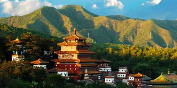 东至县鼠曲粿批发厂家