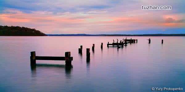 东至县鼠曲粿厂家联系方式