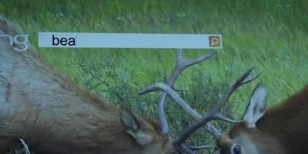 东至县鼠曲粿生产厂家在哪里