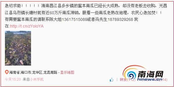 东至县鼠曲粿公司最新招聘信息